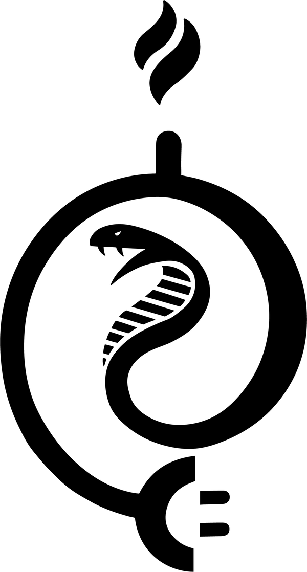 Disorderly Conduction logo