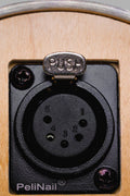 The Cobra Cup E - Nail - Disorderly Conduction E - Nail