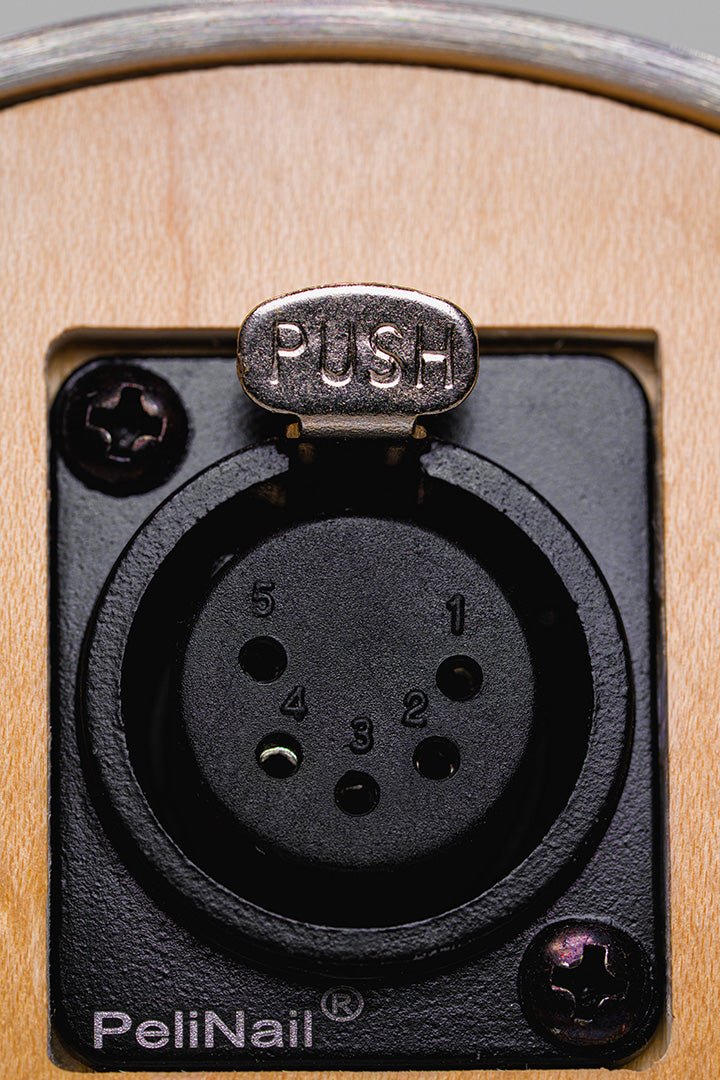 The Cobra Cup E - Nail - Disorderly Conduction E - Nail